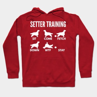 Irish Setter Training Setter Dog Tricks Hoodie